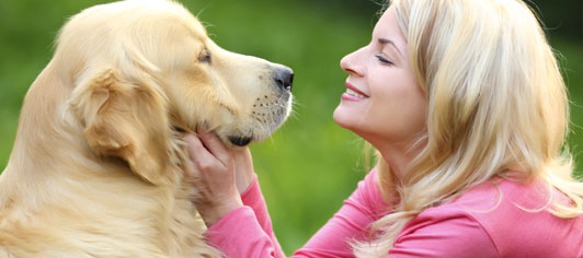 A dog and his owner enjoying the park.